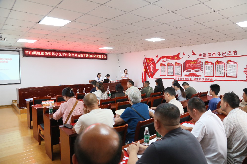 羊山新区银钱安置小区非住宅用房及地下储物间处置拍卖会拍卖成交价为131.02万元整