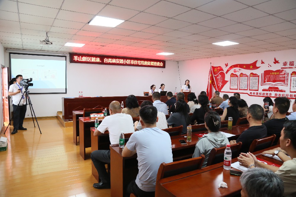 羊山新区戴庙 白高庙安置小区非住宅用房处置拍卖会拍卖成交价为1359万元整