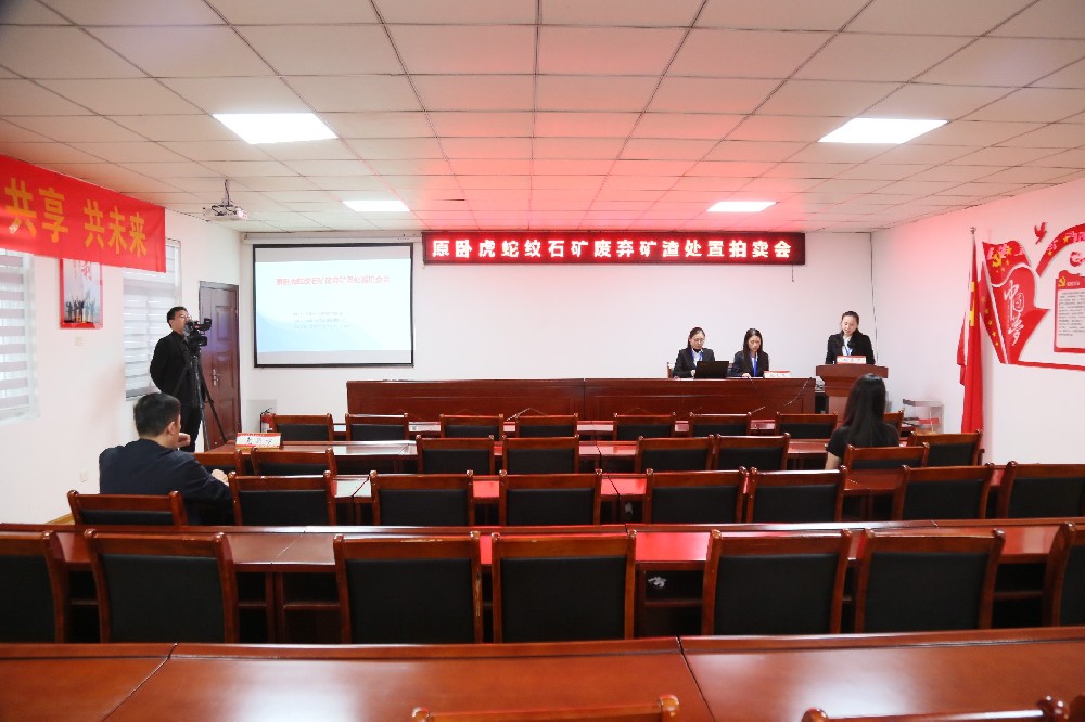 原卧虎蛇纹石矿废弃矿渣处置拍卖会拍卖成交价59.4万元整