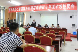 新县李洼仁畈建筑石料用花岗岩矿十年采矿权拍卖会